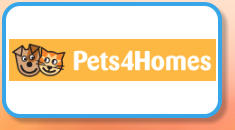 Pets4Homes - Ferrets