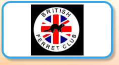 British Ferret Club