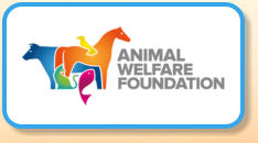 Animal Welfare Foundation - Ferrets
