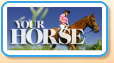 Your Horse