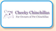 Cheeky Chinchillas