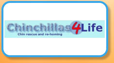 Chinchillas 4 Life