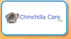 Chinchilla Care