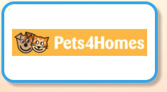 Pets 4 Homes - chipmunks