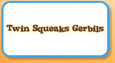 Twin Squeaks Gerbils