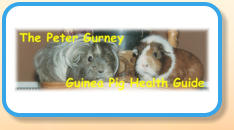 The Peter Gurney Guinea Pig Health Guide