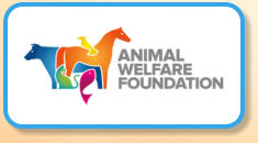Animal Welfare Foundation Guinea Pig Care